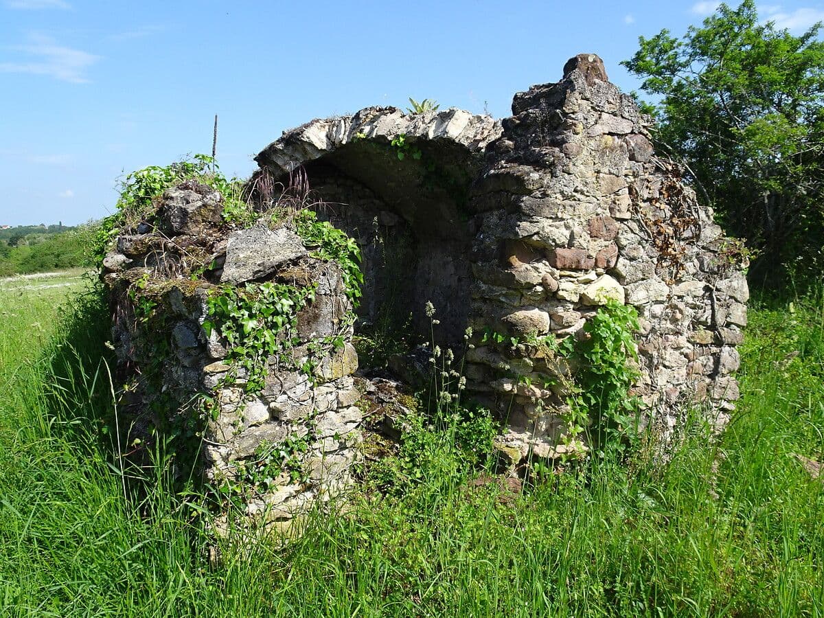 Loge de vigne à Drevant