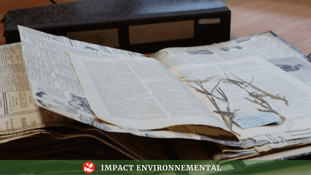 L'Herbier Louis-Arsène