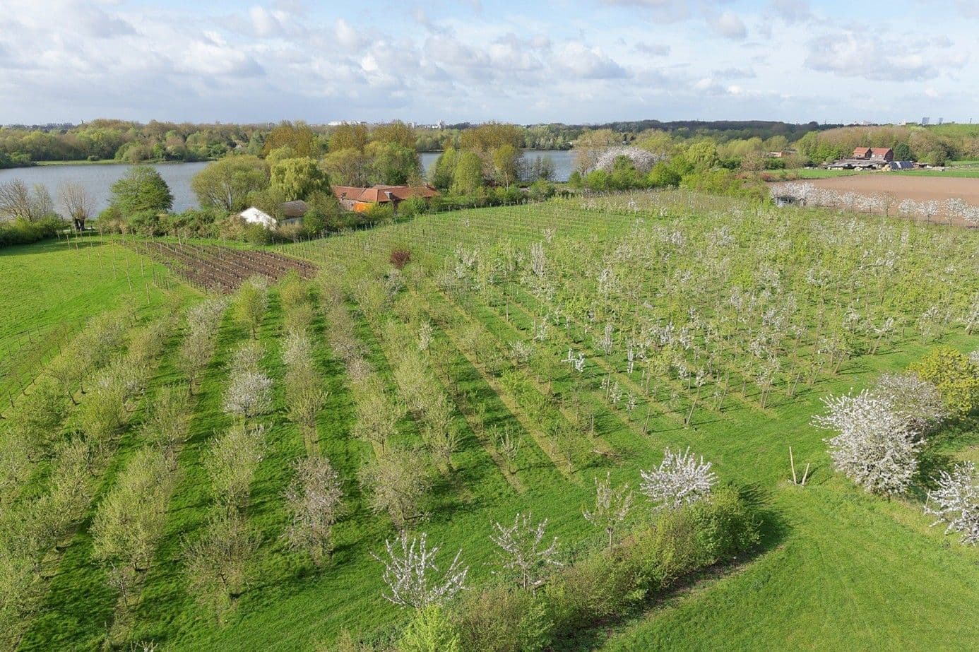 Des arbres et des fruits pour l'avenir !