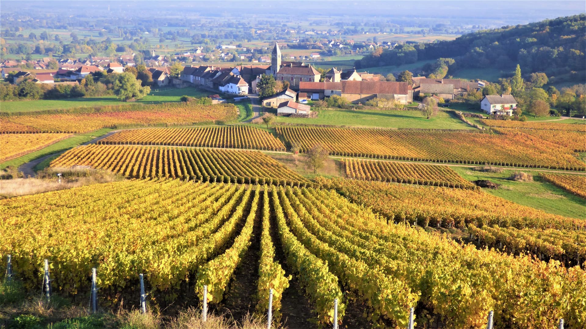 Eglise Saint-Hilaire à Saules
