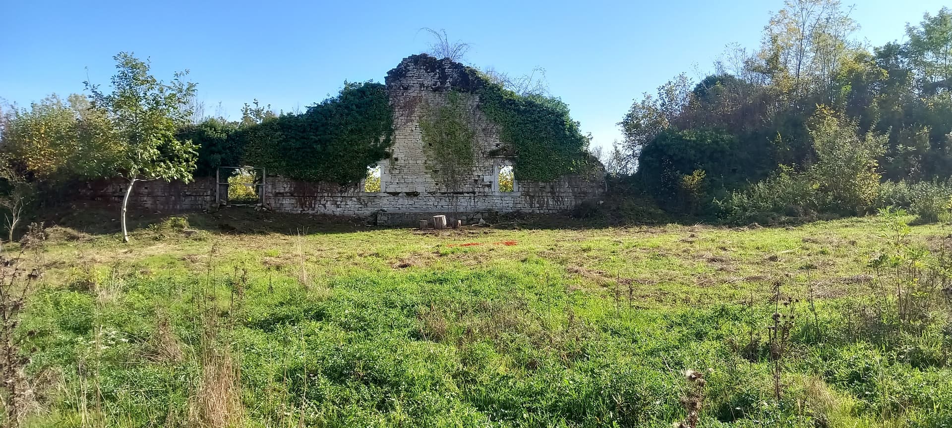 Vestiges Montrond le Château