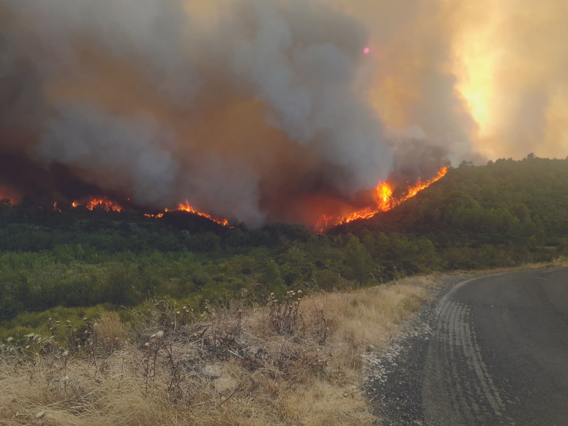 Incendies dans l'Aude