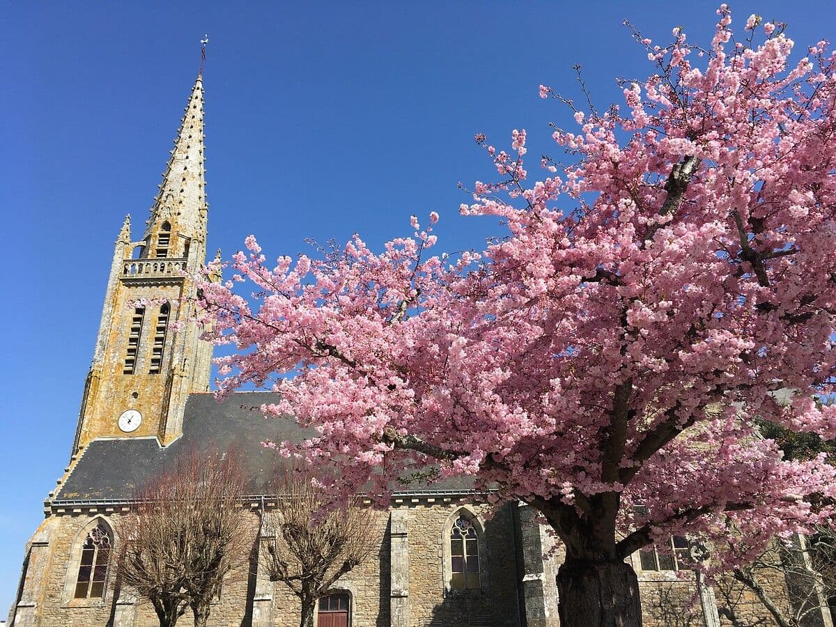 Vitraux de l'église Saint-Philibert