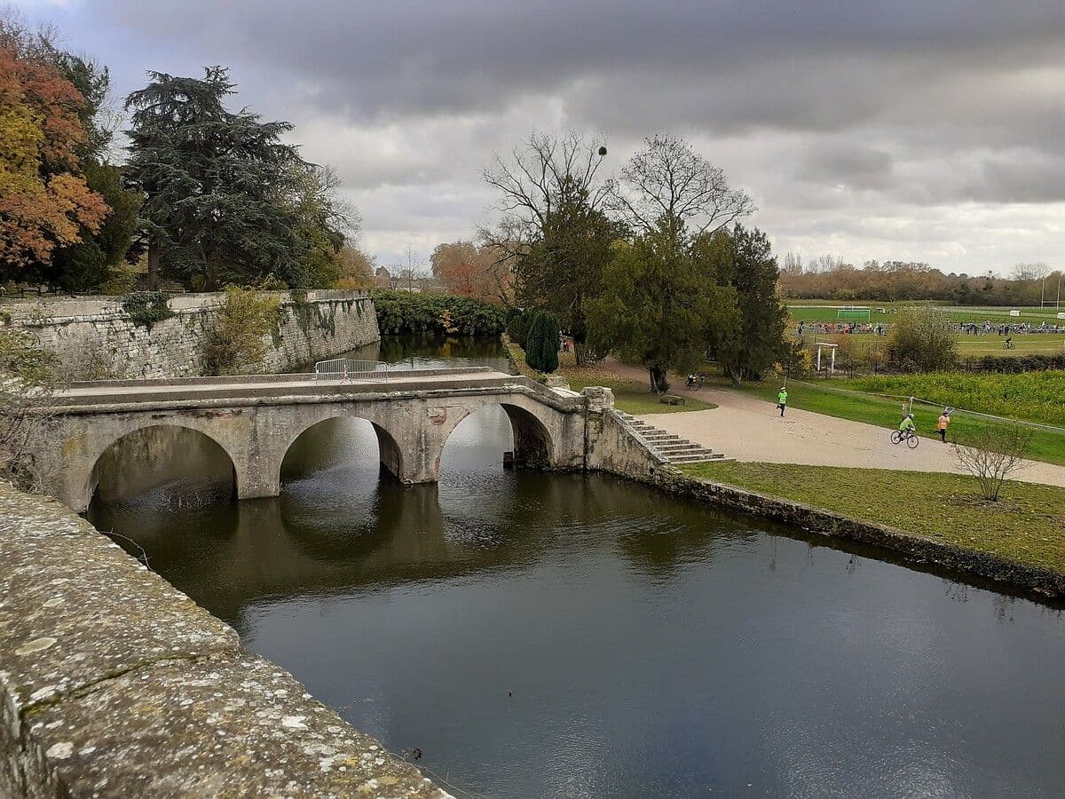 Douves de Chateauneuf-sur-Loire