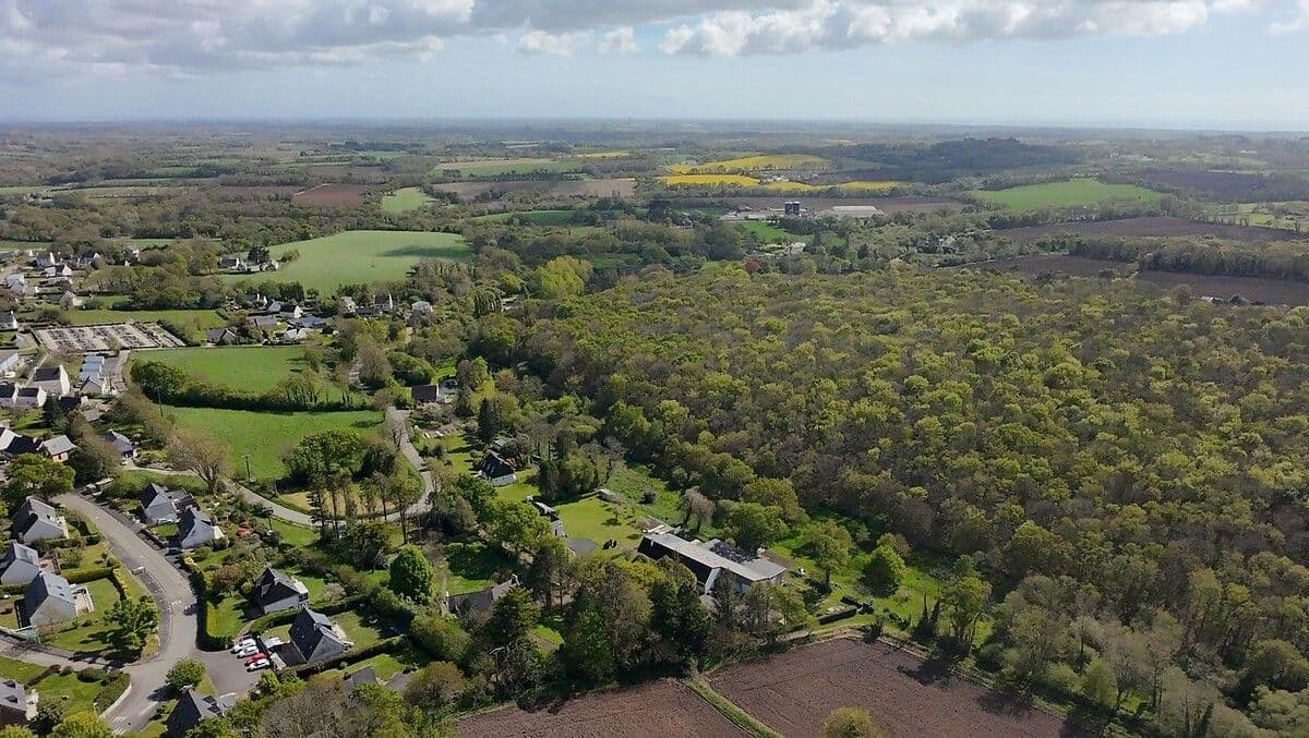 Le bois du Quilliou à Plogastel-Saint-Germain