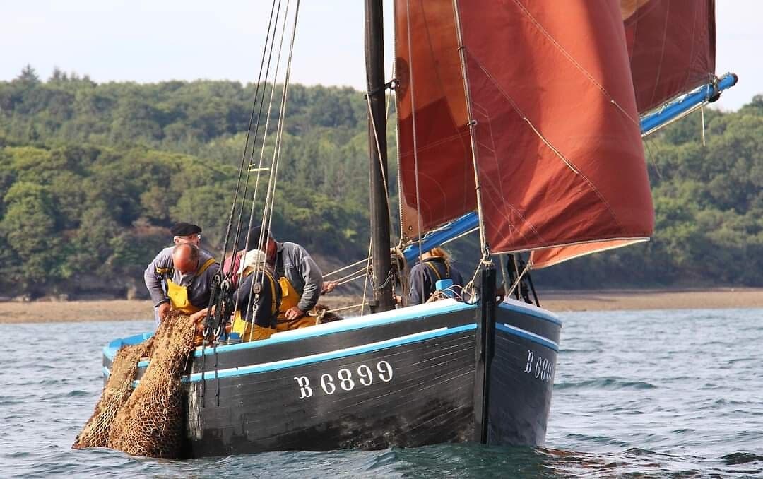 Coquillier "Anémone" à Plougastel 