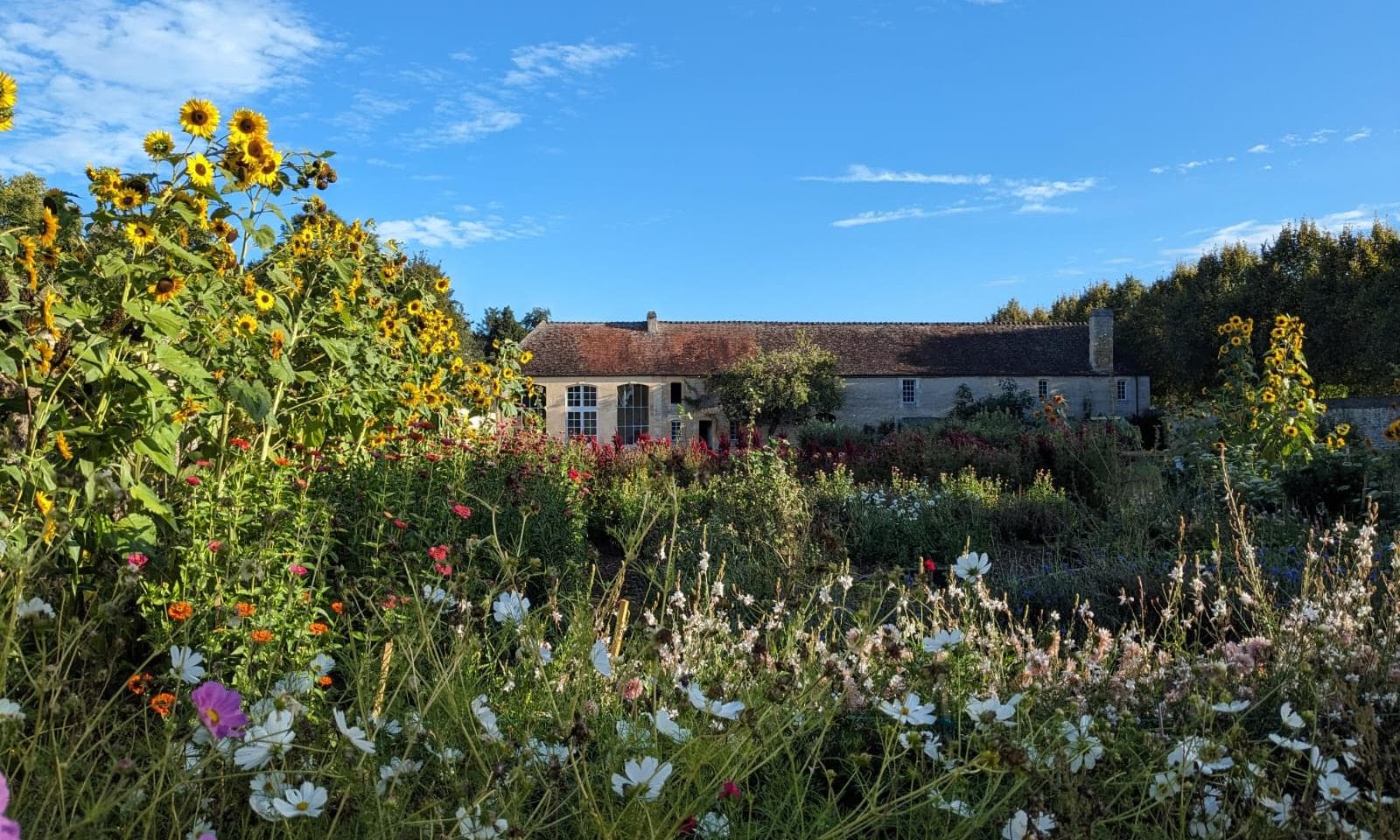 Un centre d'interprétation sur la rose normande