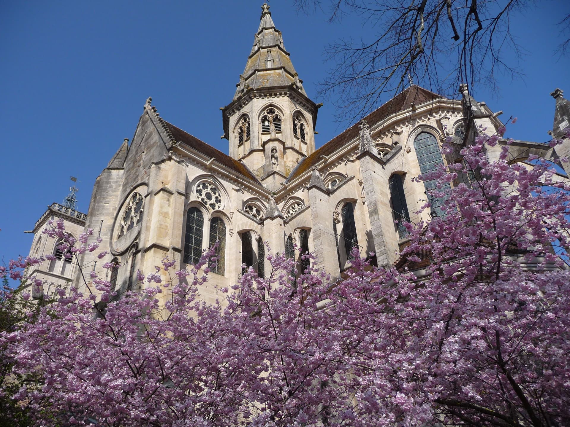 Collégiale de Semur-en-Auxois