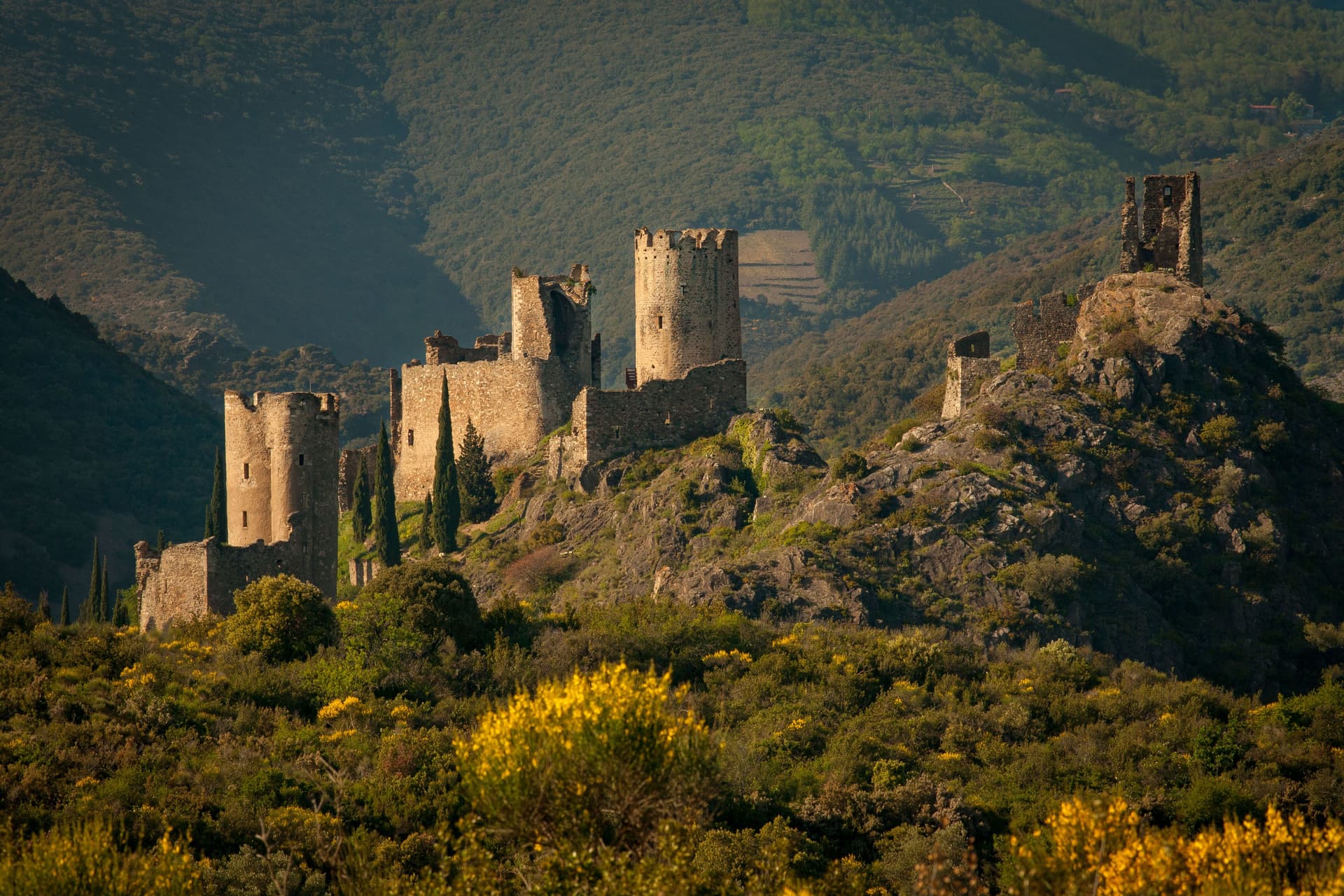 La Tour Régine