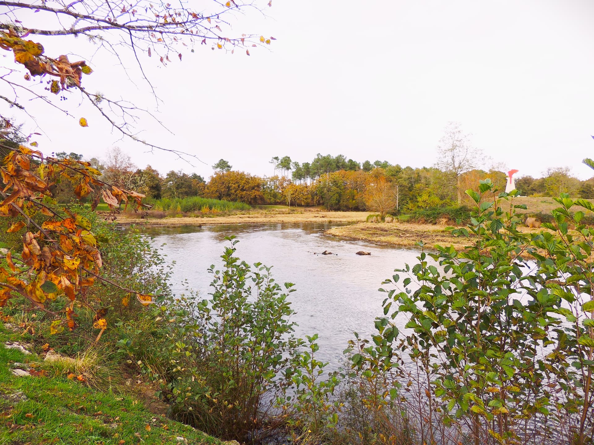 Etang des forges à Brocas