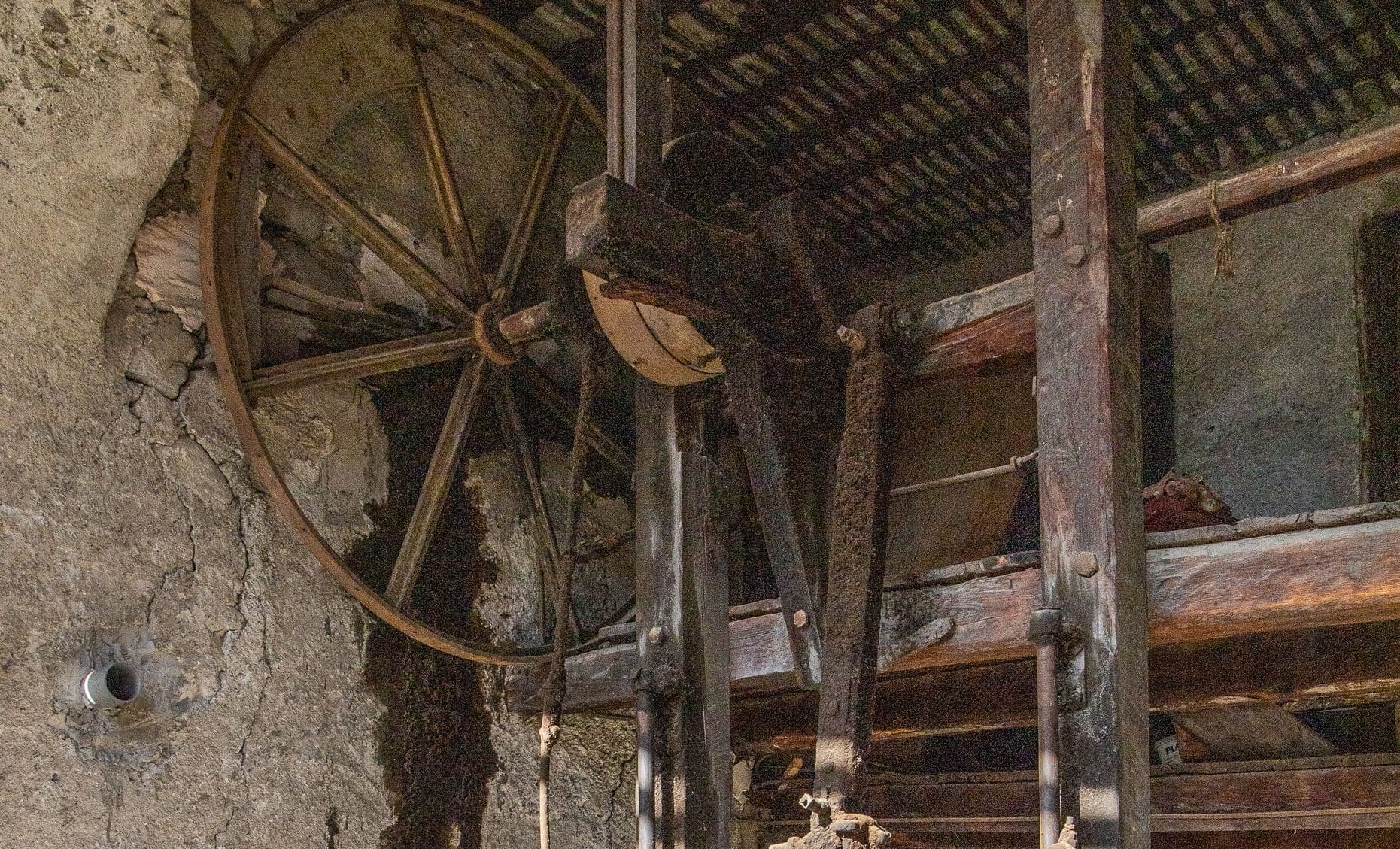 Scie hydraulique à grumes