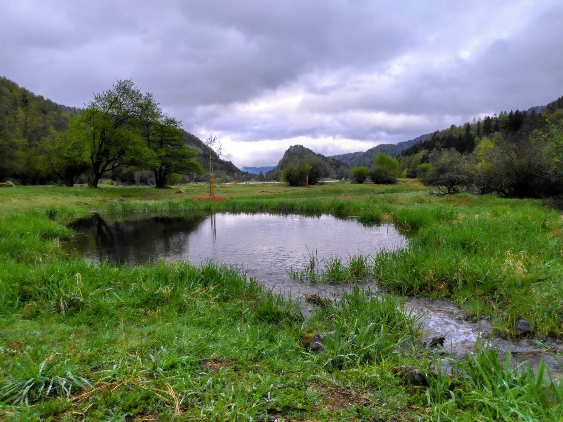 Lac de Kruth-Wildenstein