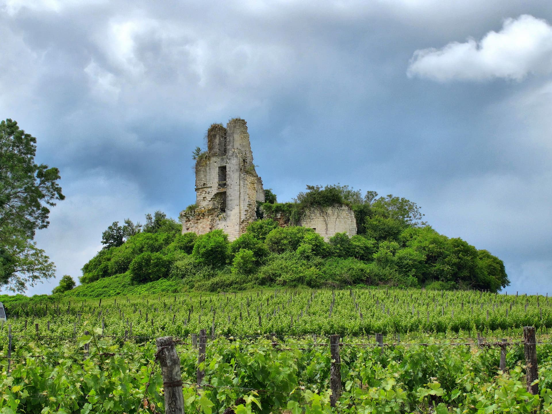 Ruines de l'ancien château de Gurson