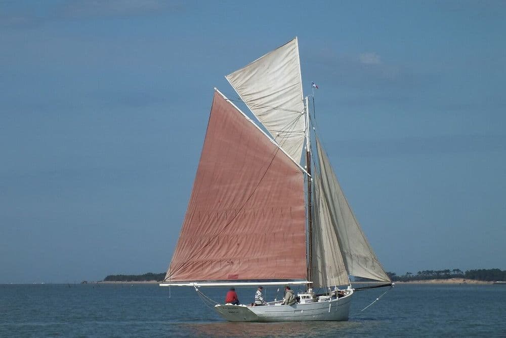 Voilier La Flèche de Mornac-sur-Seudre