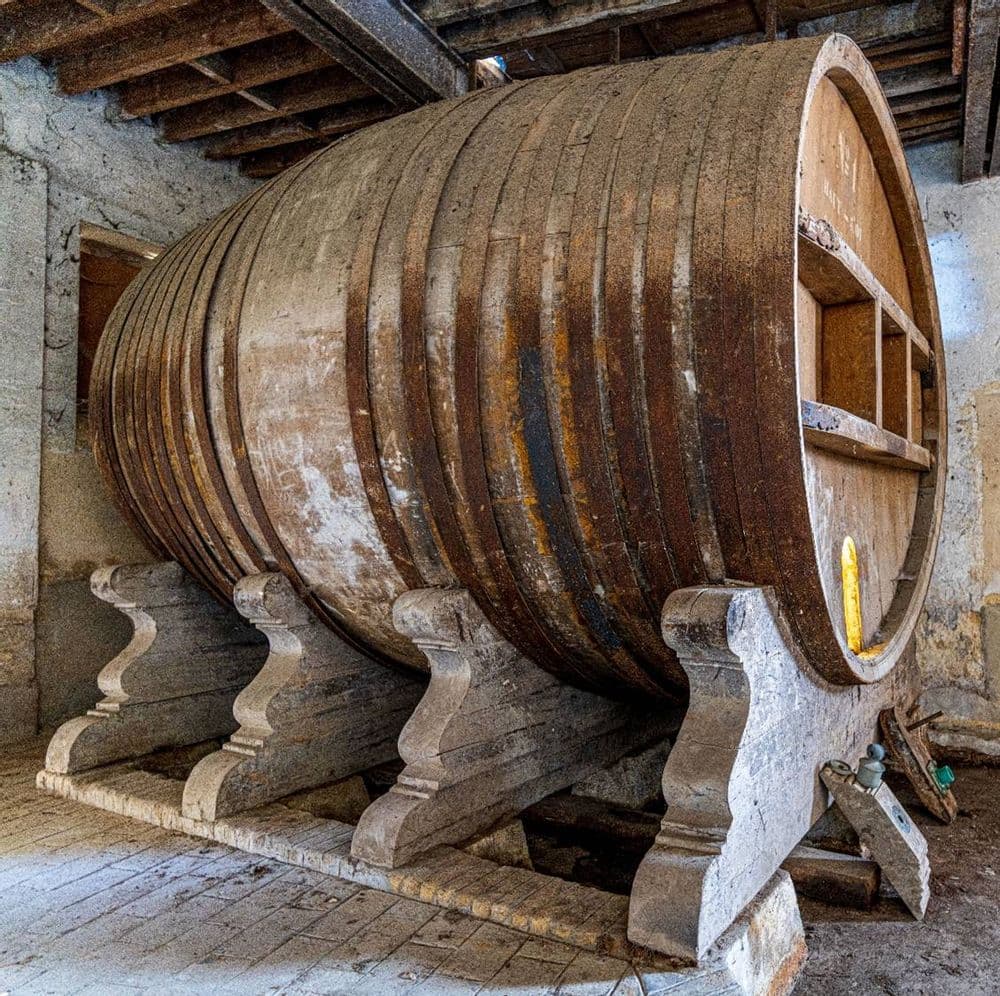 Foudre de Chigny-les-Roses