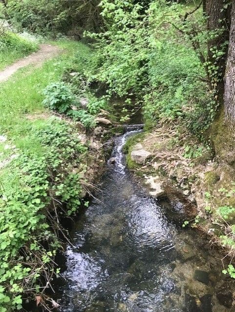 Réhabilitation des berges de Fontvieille