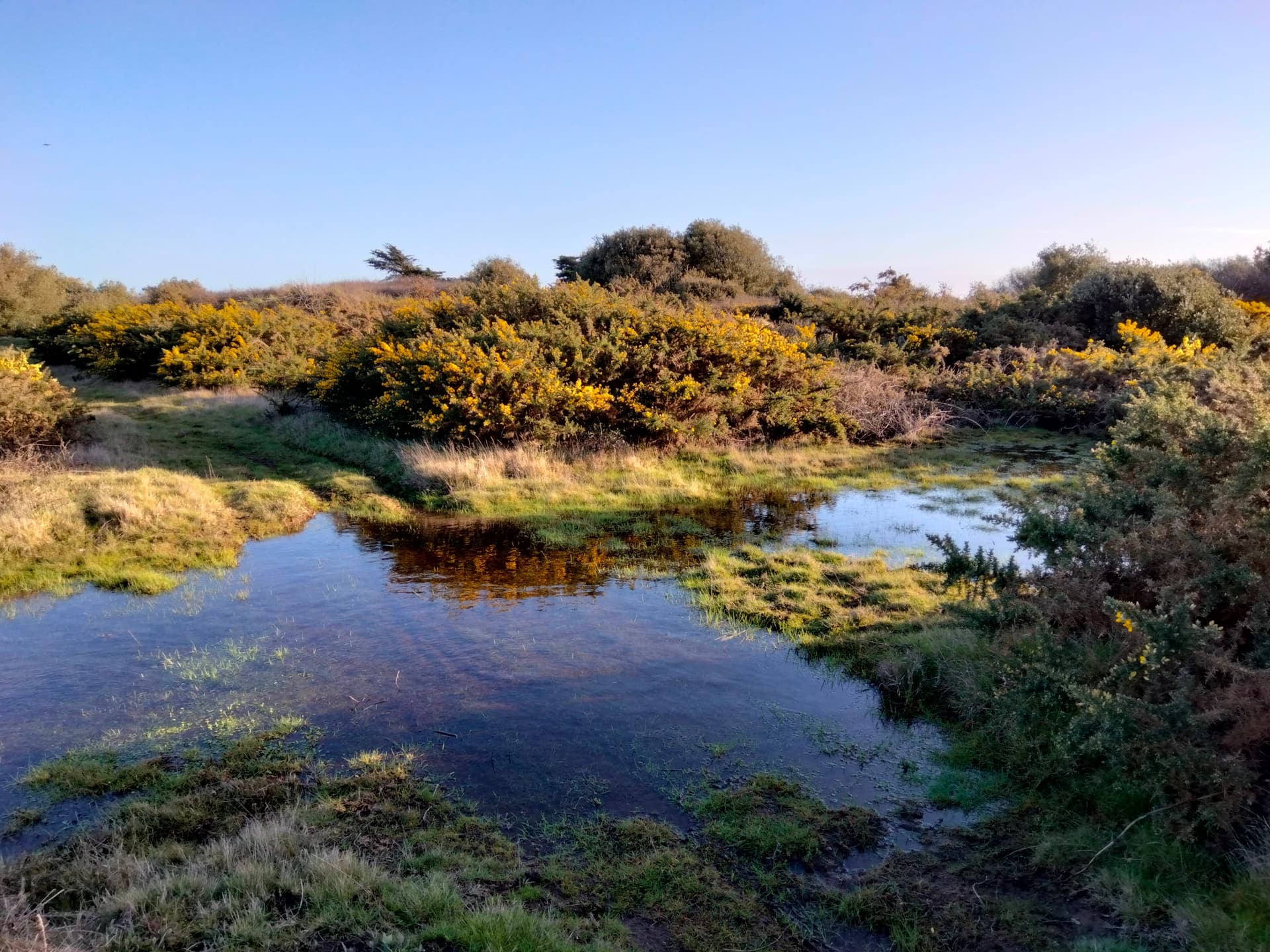 Réseau hydrographique de l'Ile d'Yeu