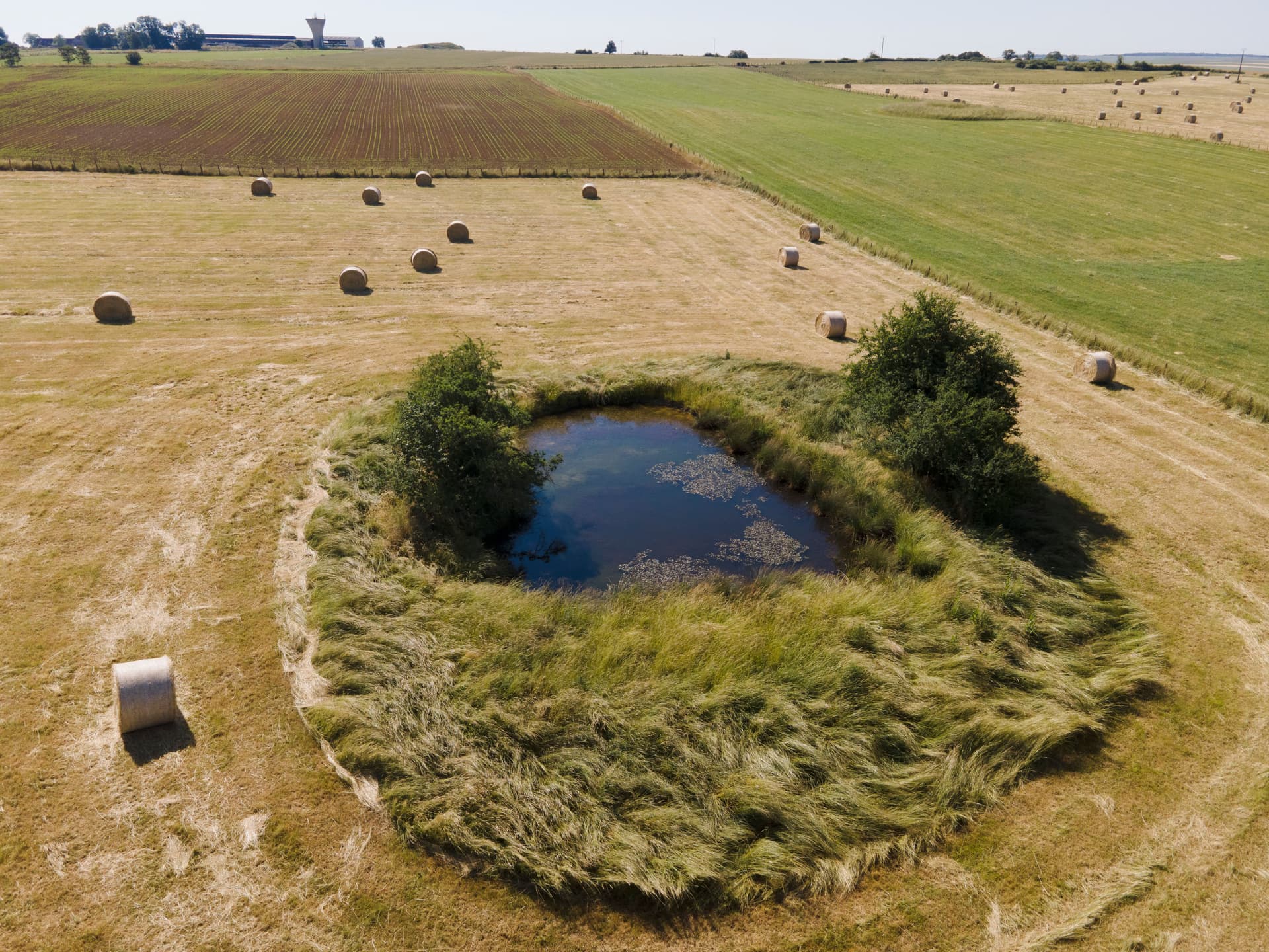 Mares du chaourçois