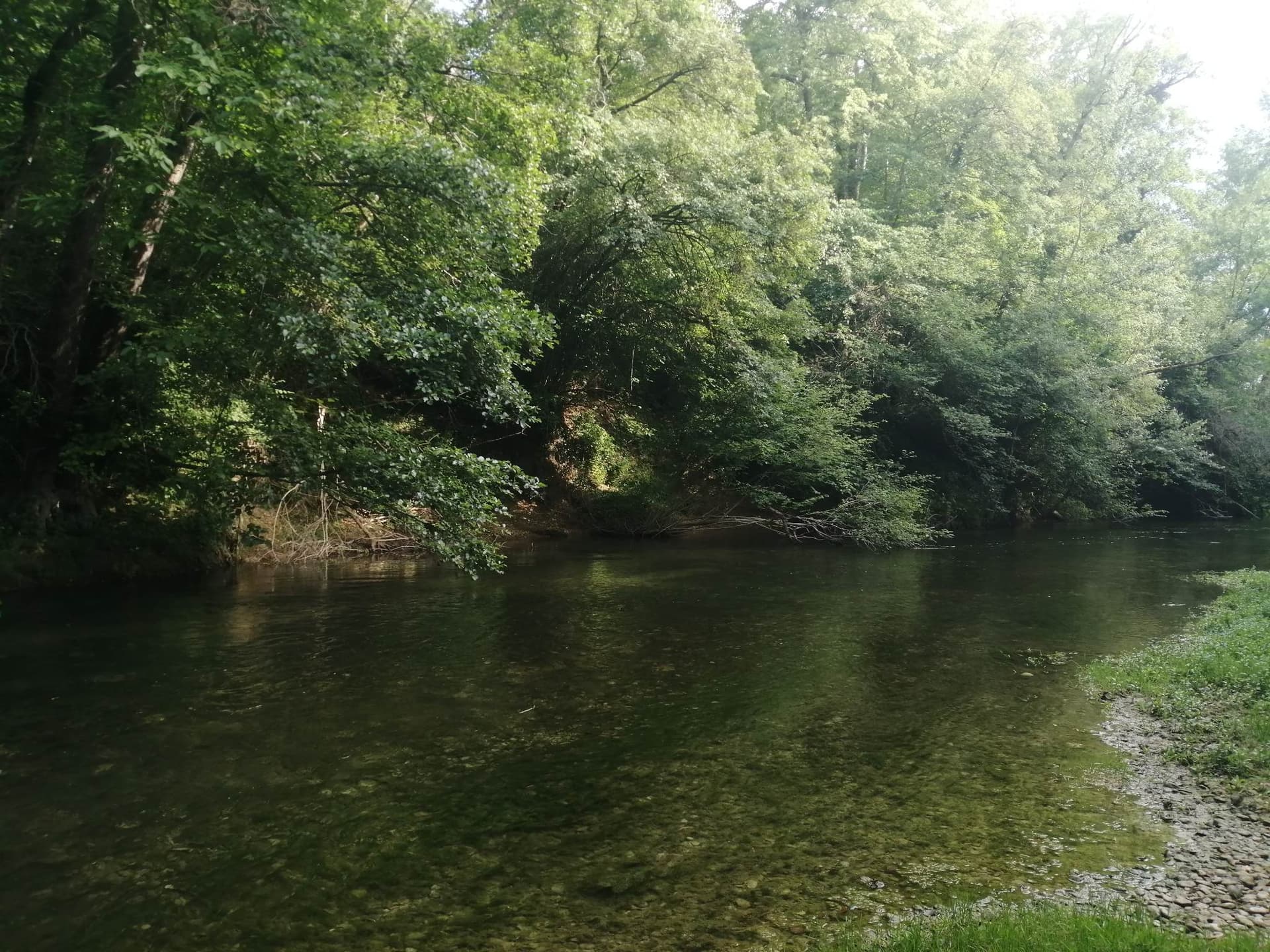 Préservons la forêt d'Orient en Champagne-Ardenne