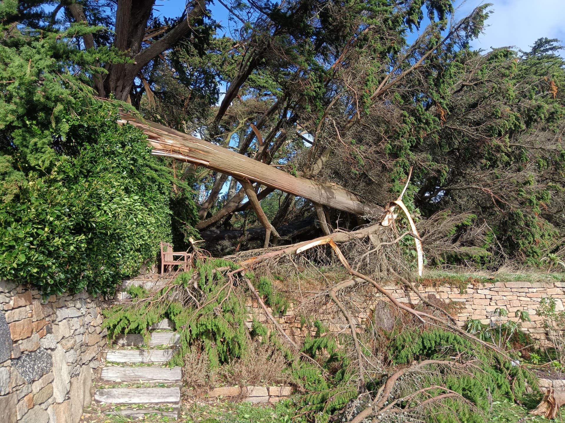 Jardin Georges Delaselle