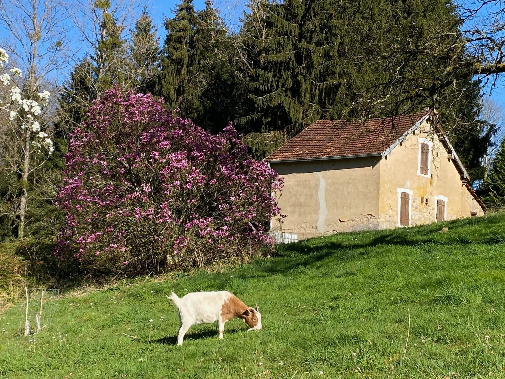 Maison du contremaître à Trémonzey