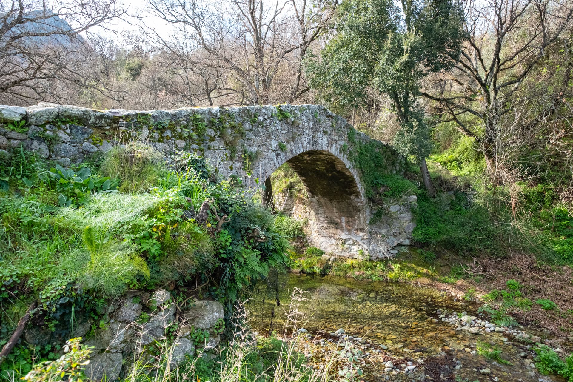 Pont génois à Feliceto