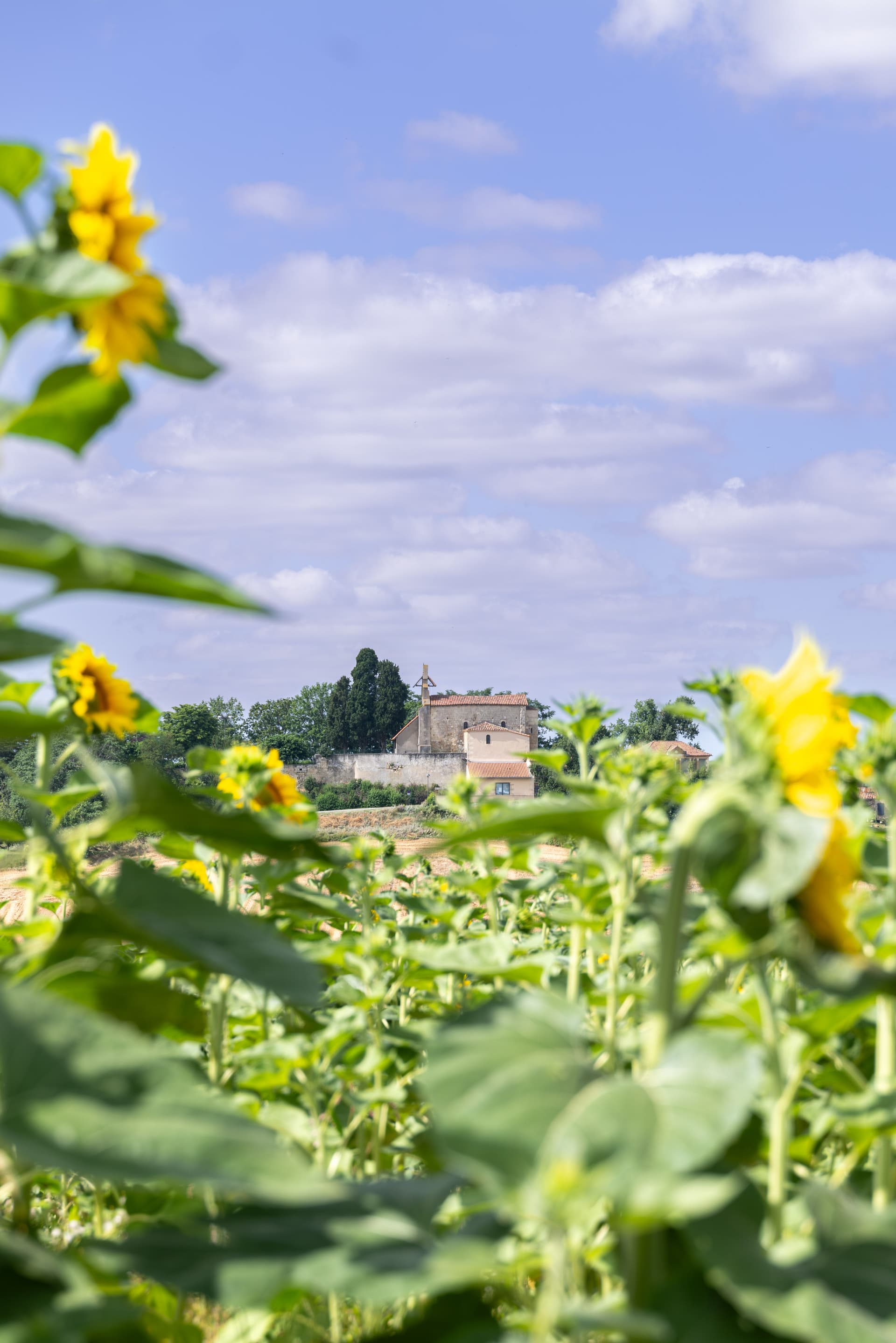 Eglise Saint Gilles dans le Gers