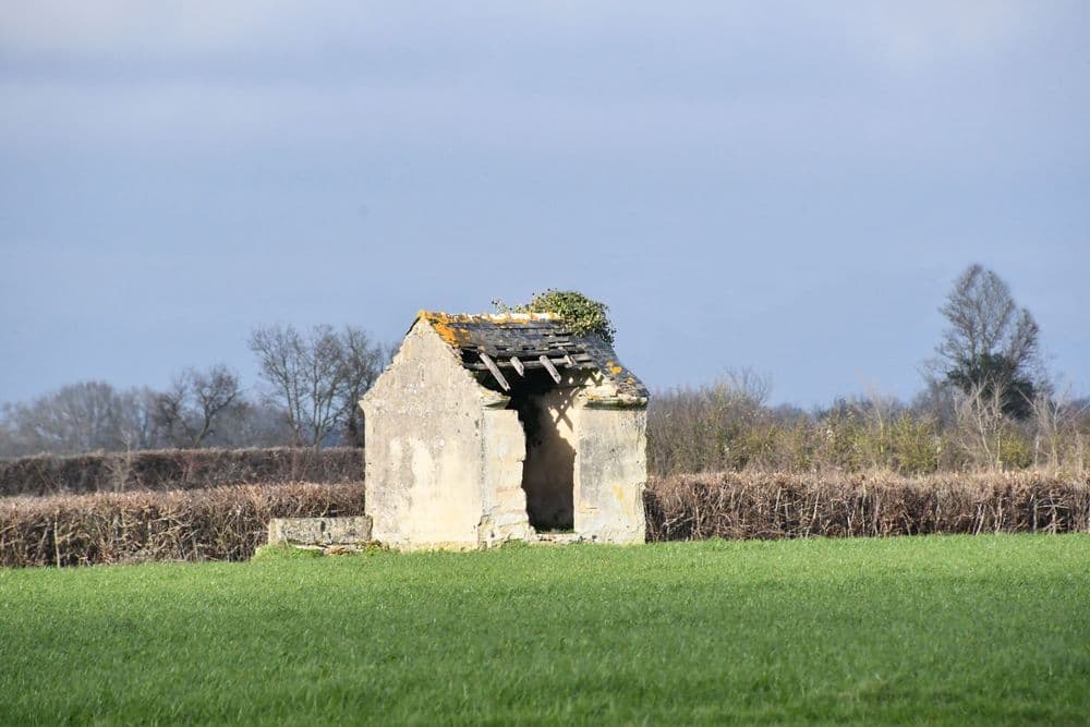 Cabane de vignes à Val en Vignes