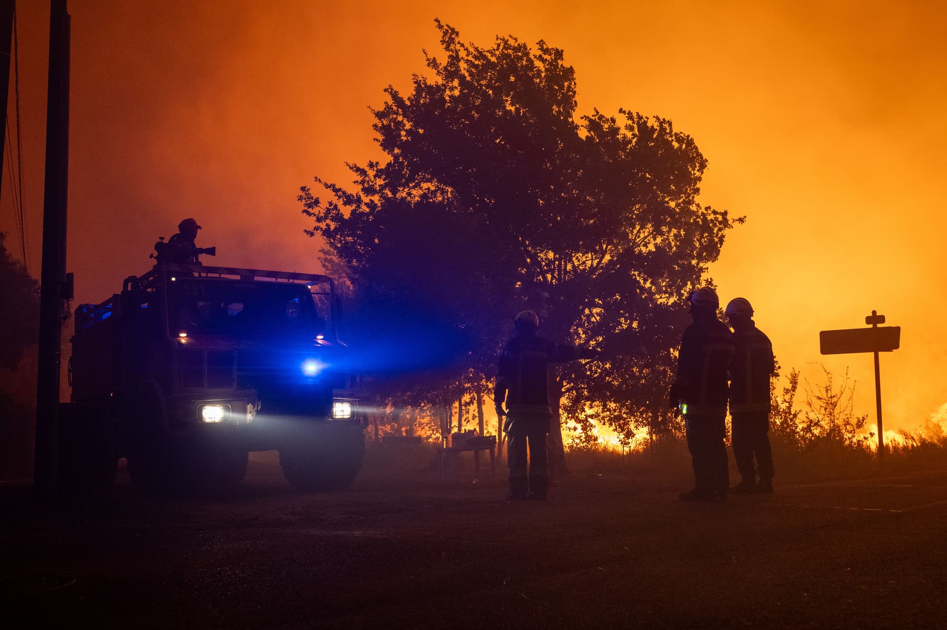 Sauvons les forêts de Gironde et des Landes